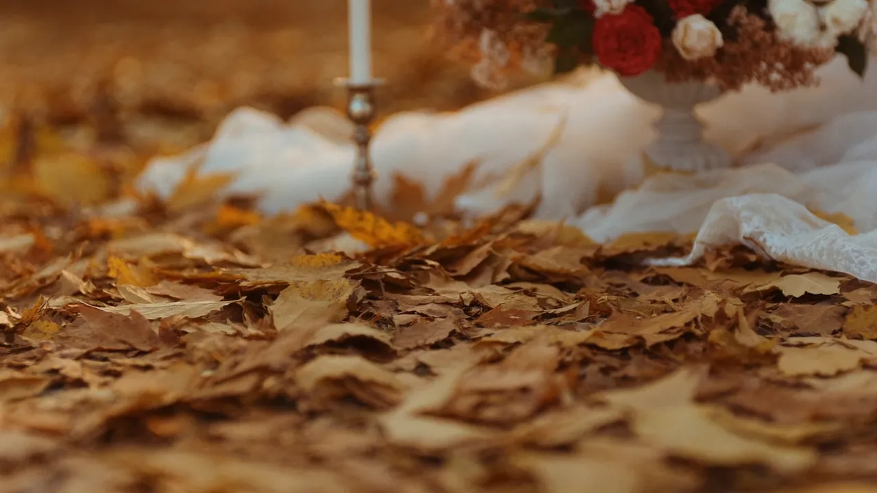 Trouwen in de herfst: warme kleuren en rustiger tarieven